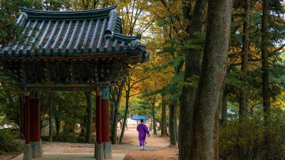 韩国影视剧集分区封面，精选2026年度热播韩剧合集，家庭职场爱情多类型覆盖